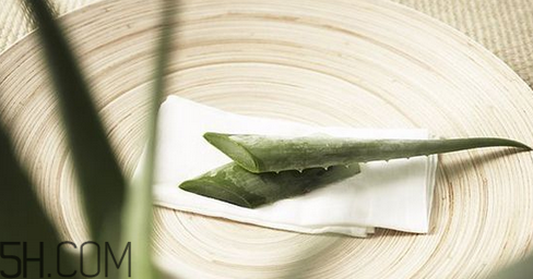 蘆薈膠吃了會(huì)怎樣？蘆薈膠的吃法