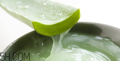 蘆薈膠吃了會(huì)怎樣？蘆薈膠的吃法