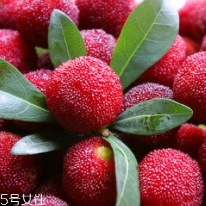 新鮮楊梅如何做酸梅湯？楊梅湯兩做法