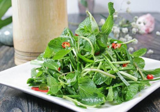哪些中草藥可以當(dāng)菜吃？最常見的是這三種