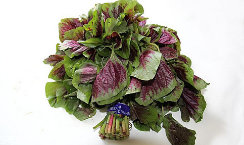 吃莧菜可以減肥嗎？減肥食物熱量排行榜