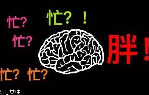久坐不動(dòng)上班族如何減肥？越努力工作的人越容易發(fā)胖