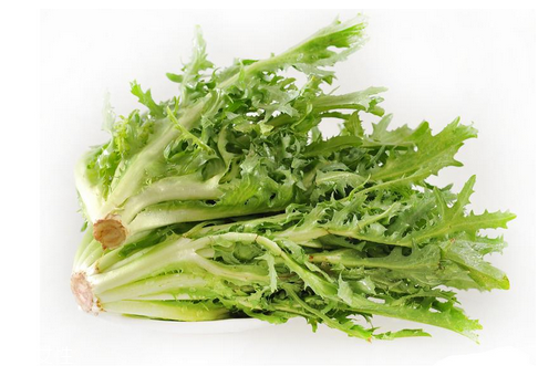 苦菊小孩能吃嗎？小孩吃苦菊促進腦部發(fā)育
