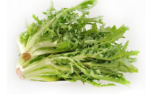 苦菊涼拌用開(kāi)水焯水嗎？苦菊涼拌才好吃