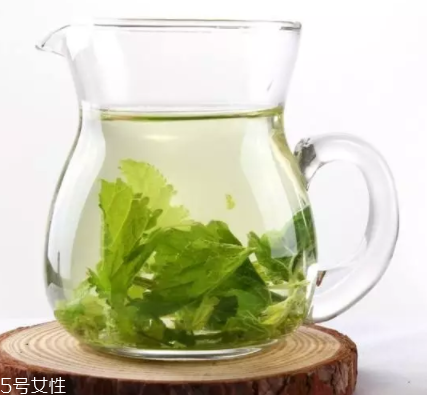 桑葉茶哪些人不能喝？過多飲用傷脾胃傷腎