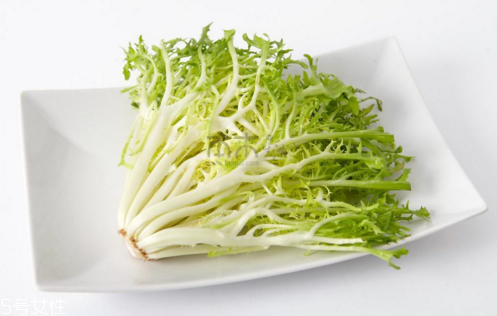 苦菊能減肥嗎？苦菊的各式做法