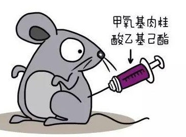 自然堂隔離霜孕婦可以用嗎？含有孕婦禁用成分