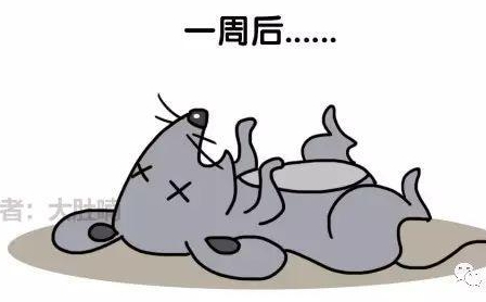 自然堂隔離霜孕婦可以用嗎？含有孕婦禁用成分