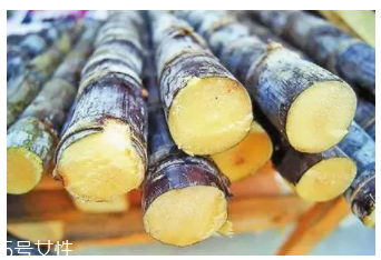 甘蔗的吃法有什么不同？吃法不同療效不同