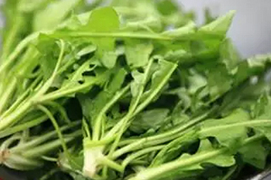 經(jīng)常用眼吃什么？多吃綠色和黃色食物