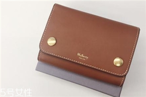 mulberry錢包多少錢？celine平價替代
