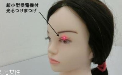 發(fā)光假睫毛多少錢(qián)？一閃一閃亮晶晶