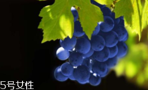 葡萄籽補(bǔ)劑要不要買？不如早睡早起