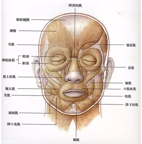 法令紋怎么去除？最有效的方法是醫(yī)美