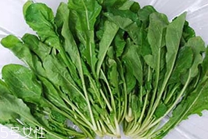 薺菜包餃子需要焯水嗎？小心有苦澀的味道