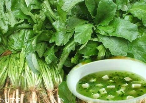 薺菜包餃子需要焯水嗎？小心有苦澀的味道