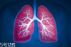 肺漏氣是什么?。糠闻萜屏岩饸庑?><p><strong>肺漏氣是什么??？肺泡破裂引起氣胸</strong></p></a></li> <li><a href=