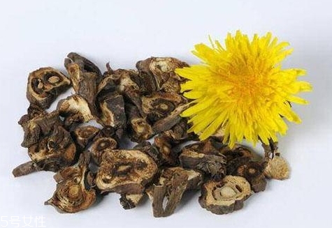 蒲公英茶超市有賣的嗎？去藥房看看