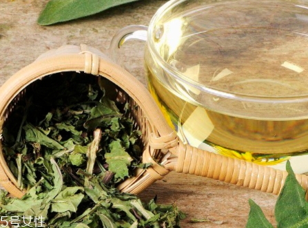 蒲公英茶能減肥嗎？要這樣搭配