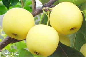 哺乳期吃梨有什么好處？梨子能做面膜