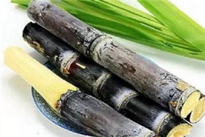 冬季吃甘蔗有什么好處？它被稱為冬季人參