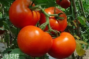 空腹不能吃什么？這4種最好不要吃