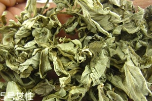 艾葉水可以洗外陰嗎？可以起到殺菌的作用