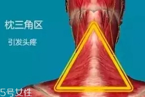 人體黃金三角區(qū)有哪些？養(yǎng)好了百病不擾