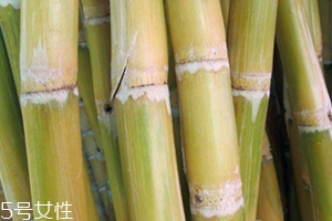 甘蔗吃多了對(duì)牙齒好嗎？有可能損傷牙齒