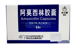 阿莫西林會傷肝嗎？藥品都會對肝造成傷害