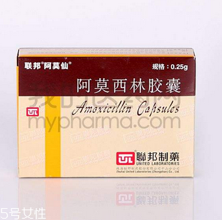 阿莫西林好還是阿奇霉素好？消炎藥哪家強