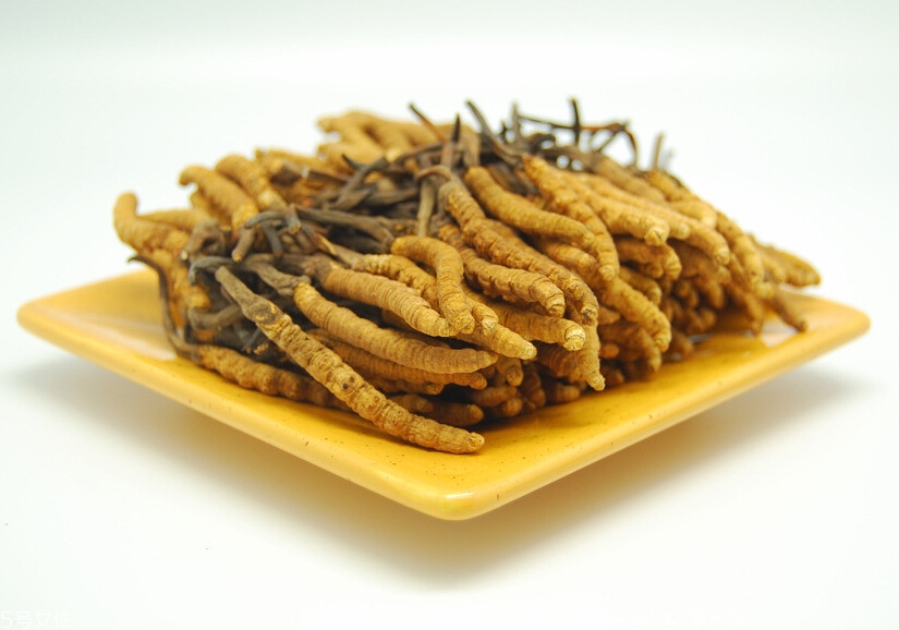 吃冬蟲夏草的好處有哪些？四大好處任你選