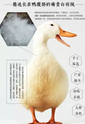 lets diet羽絨褲多少錢(qián)？lets diet羽絨褲保暖又修身