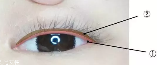 內(nèi)眼線一定要畫嗎？畫好睫毛根部
