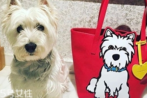 marc tetro是什么牌子？美國高性價比包包品牌
