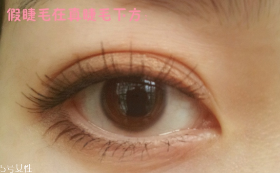 假睫毛是一次性的嗎？假睫毛可以重復(fù)使用