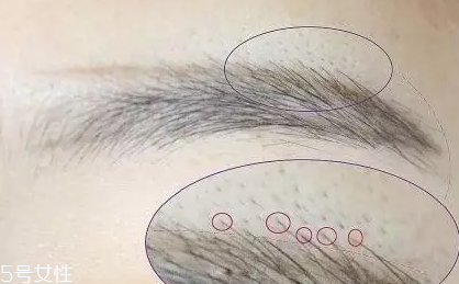 自然不做作的毛流眉怎么畫？紋理清晰有弧度
