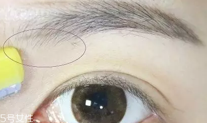 自然不做作的毛流眉怎么畫？紋理清晰有弧度