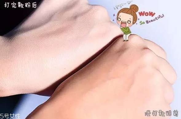 紀梵希散粉和悅詩風吟散粉哪個好？