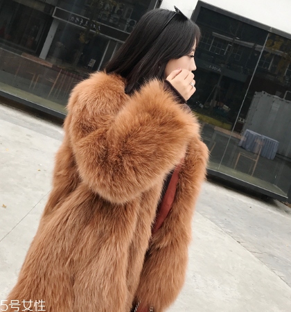 皮草和貂哪個貴？它們的價值你清楚嗎