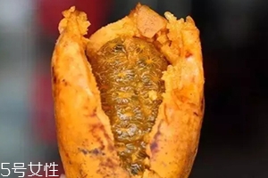 牛卵坨籽可以吃嗎？看看它的神奇功效