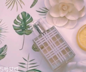 女士香水什么味道好？這6款香水親切又高級