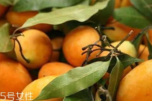 枇杷芒多少錢(qián)一斤？品質(zhì)越好價(jià)格越貴