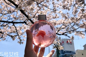 奈良金箔櫻花酒多少錢？奈良櫻花酒好喝嗎