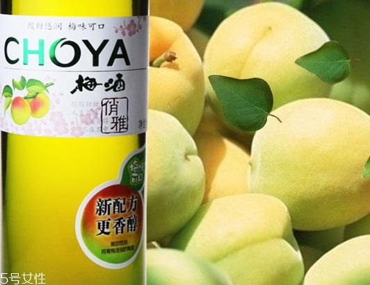 choya梅酒多少錢？多少度？