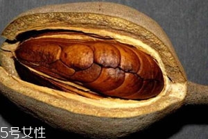 向天果的用量 根據(jù)自身情況選擇服用量。