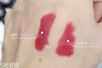 嬌蘭寶石口紅25還是28？?jī)煽畋t大比拼