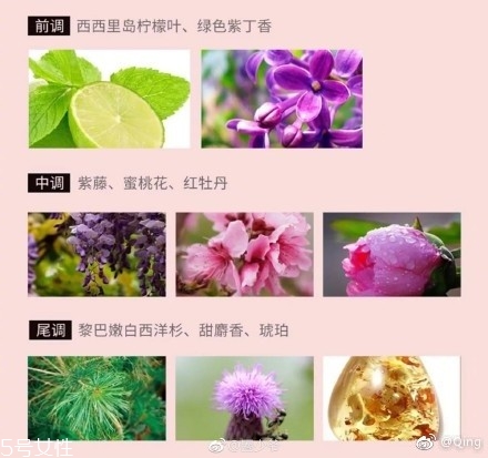 瀘州老窖香水多少錢(qián)？你身上有他的白酒味