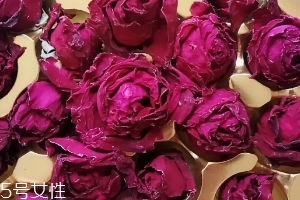 墨紅玫瑰可以天天喝嗎？玫瑰養(yǎng)顏也要適量