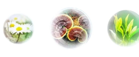 香蒲麗防曬霜怎么樣？從防曬值和成分說開去